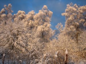 Tedgård, Organisationsutveckling, Stresshantering
