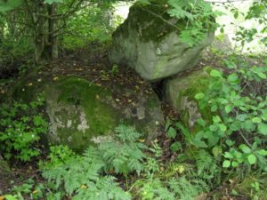 Tedgård, Organisationsutveckling, Stresshantering